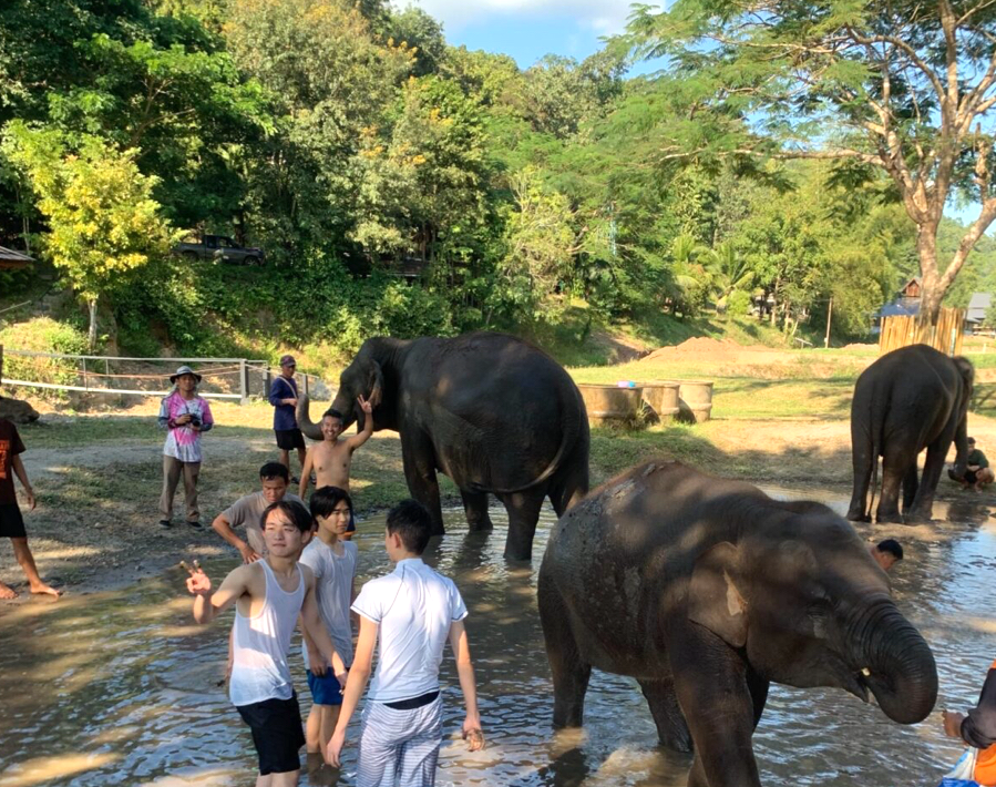 高校2年時の海外研修旅行で、タイ・チェンマイにある象の保護センターを訪れ、アジアゾウの保護に関する取り組みについて学んだ