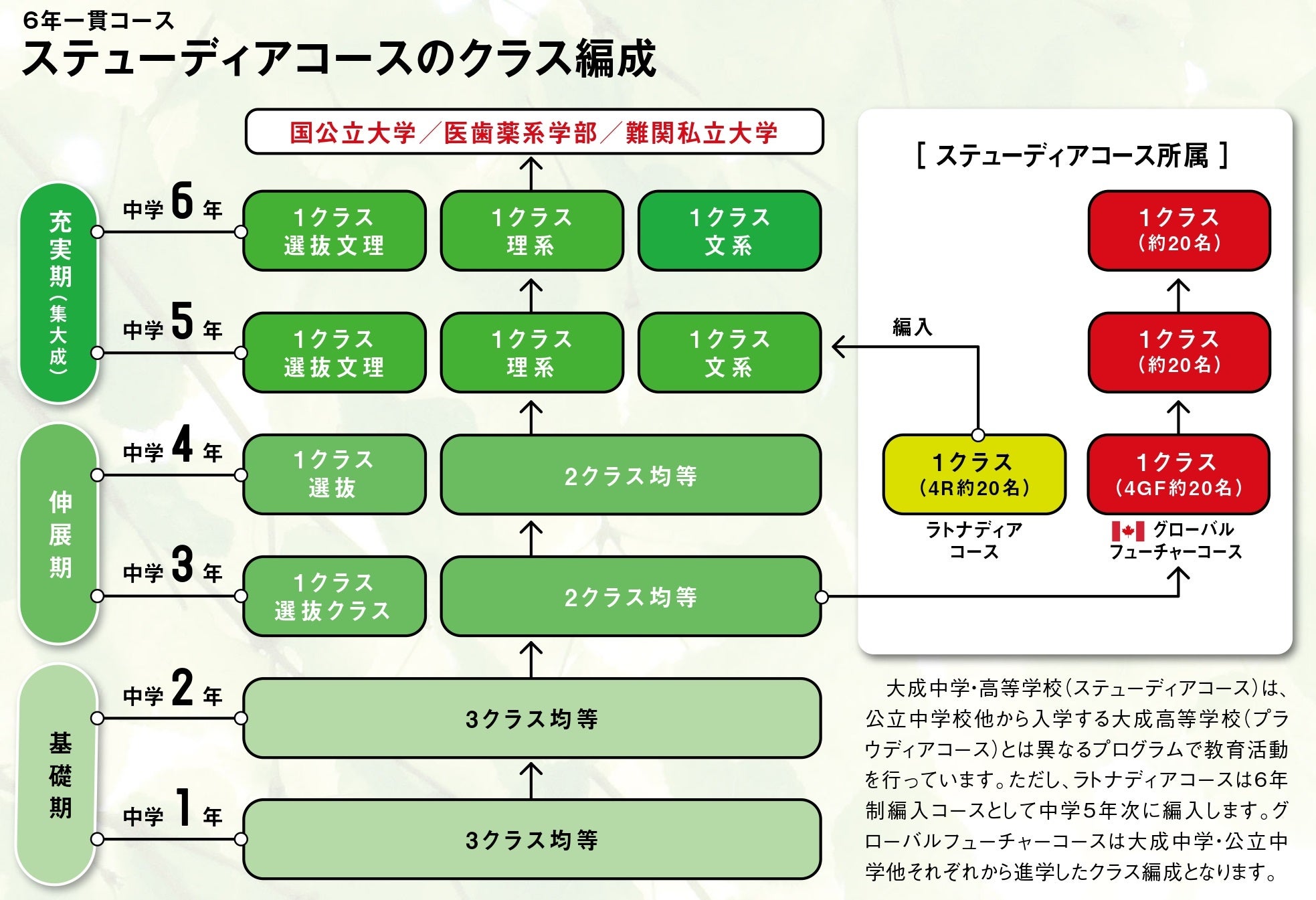 ステューディアコースのクラス編成