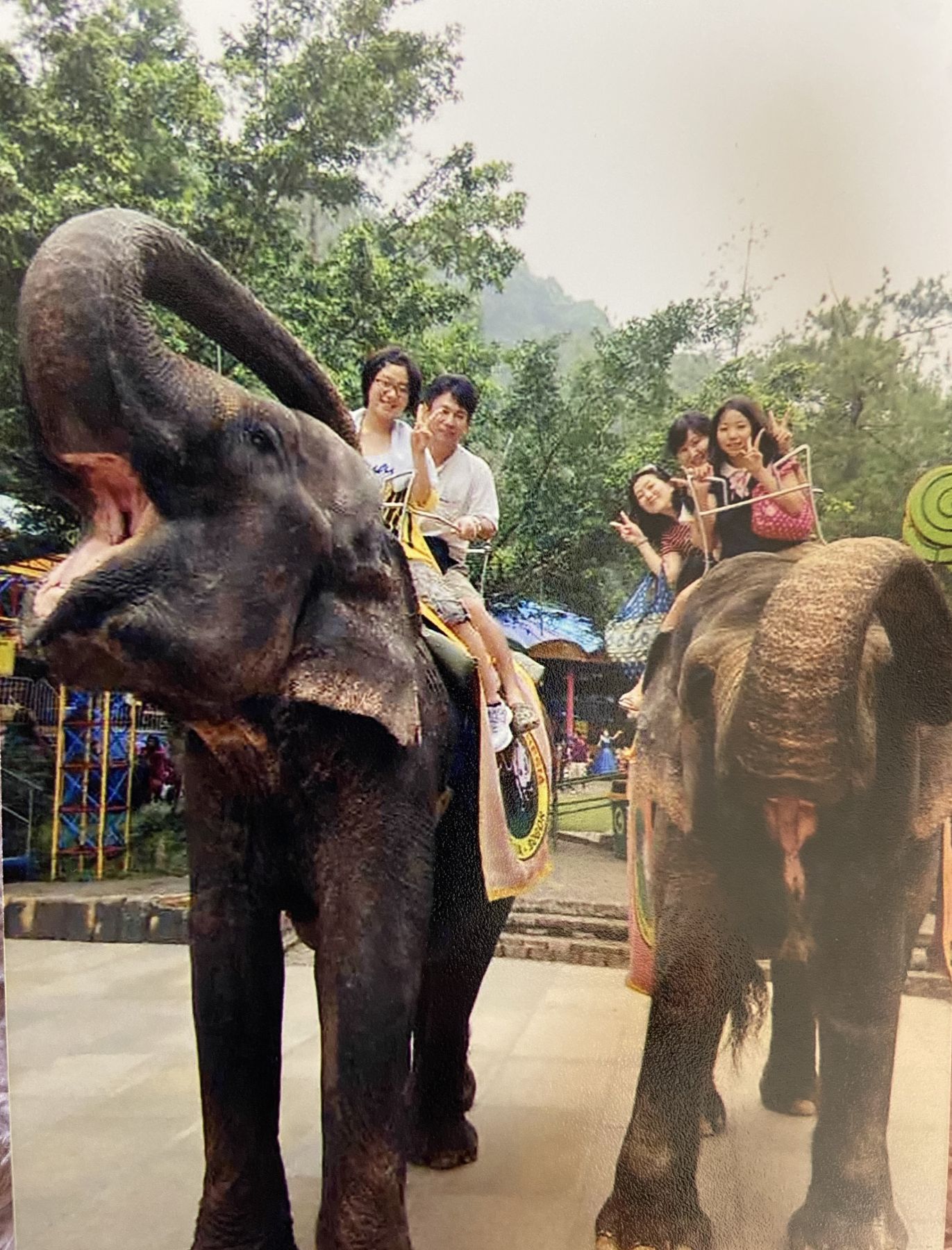 家族で動物園へ