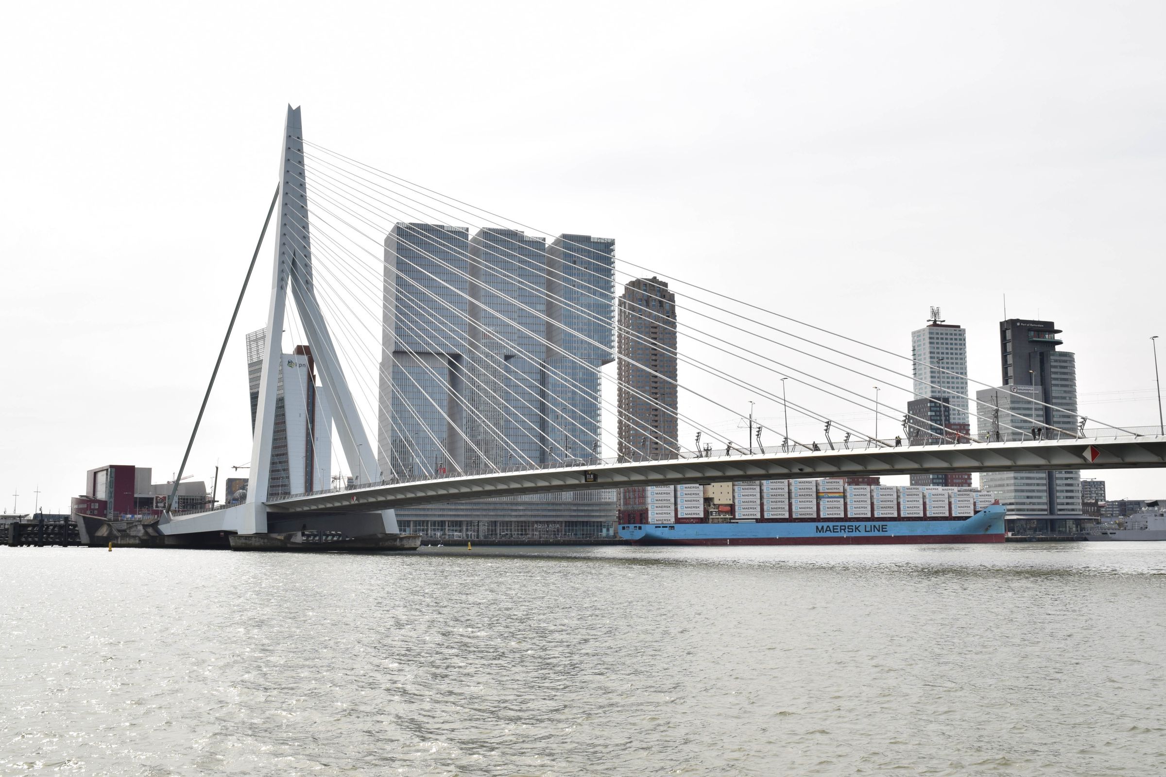 市内を流れるニューウェ・マース川とエラスムス橋