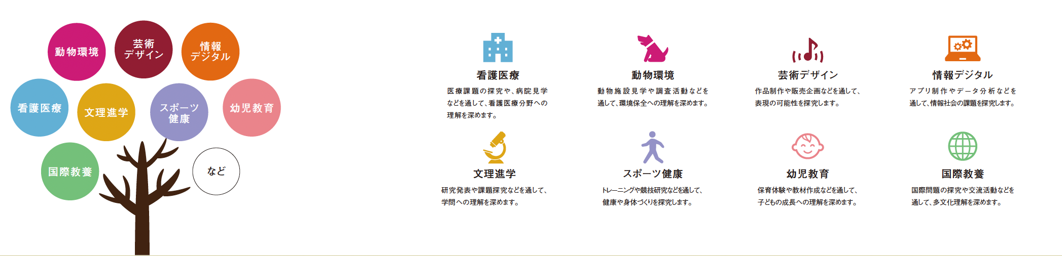 選択ゼミの例