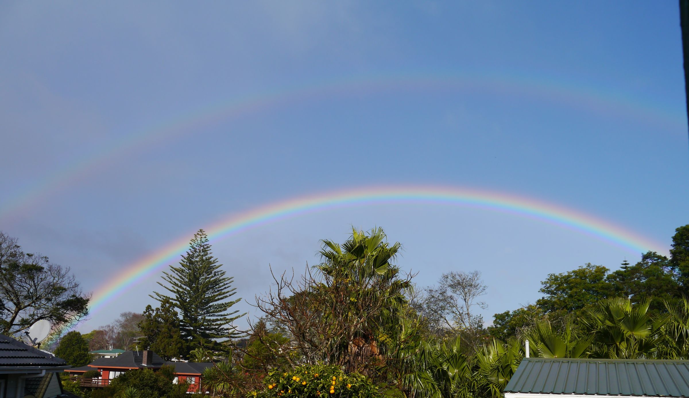 天気が変わりやすいオークランドでは、虹をたくさん見ることができます 