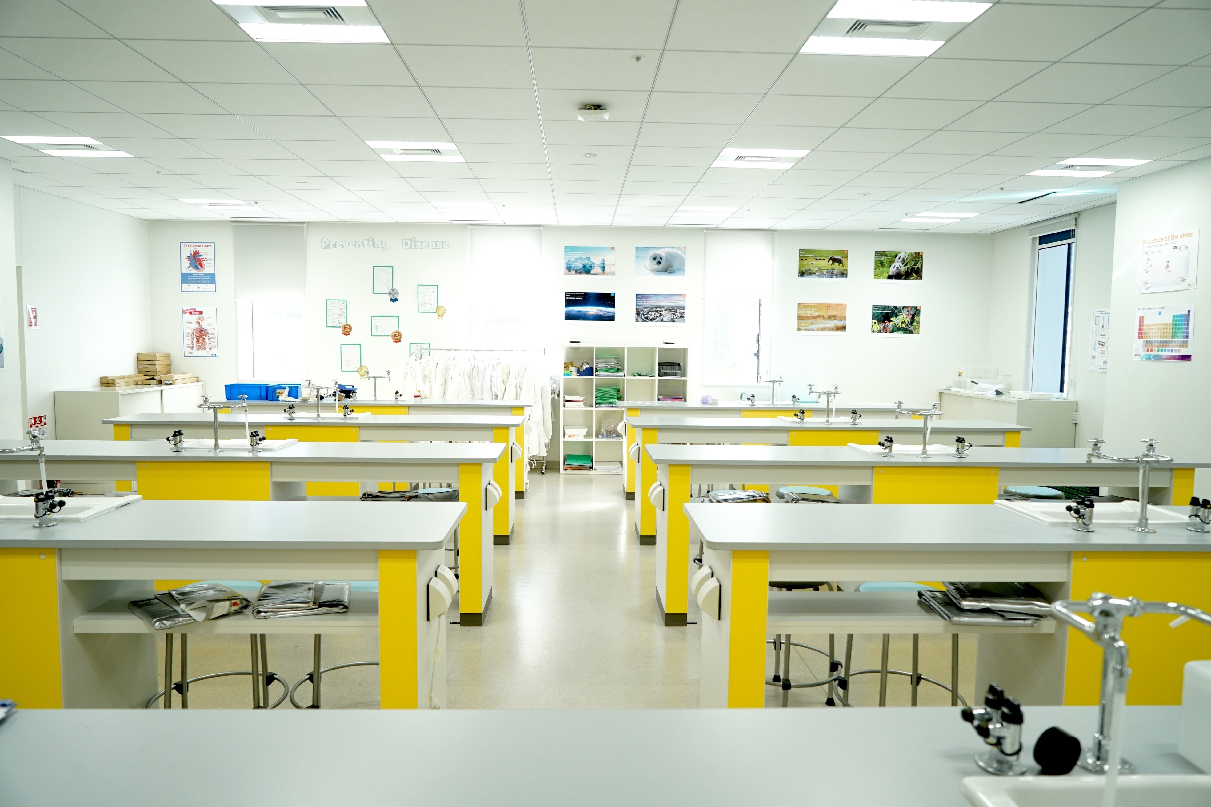 ローラスインターナショナルスクール初等部中高等部【東京都】