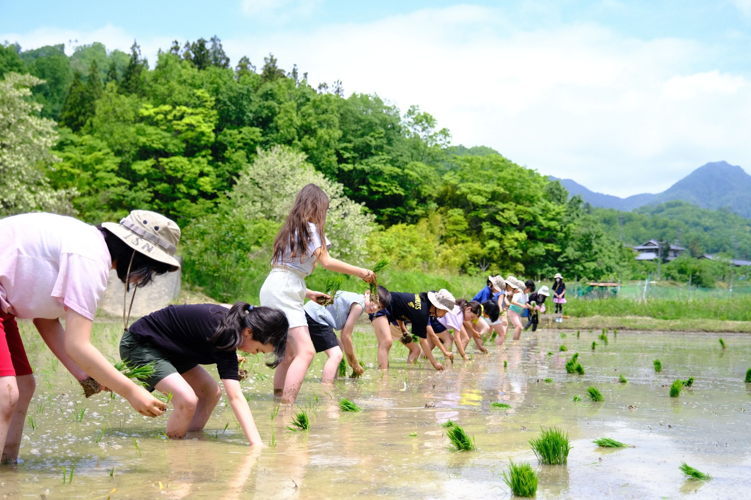 インターナショナルスクールオブ長野【長野県】
