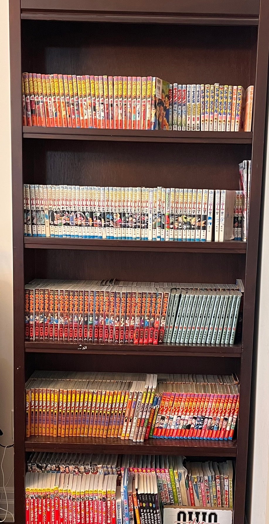 家では基本的には日本語を使うルール。子どもたちは本棚にある日本語の本を読む