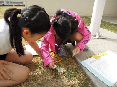 小学部4年　理科