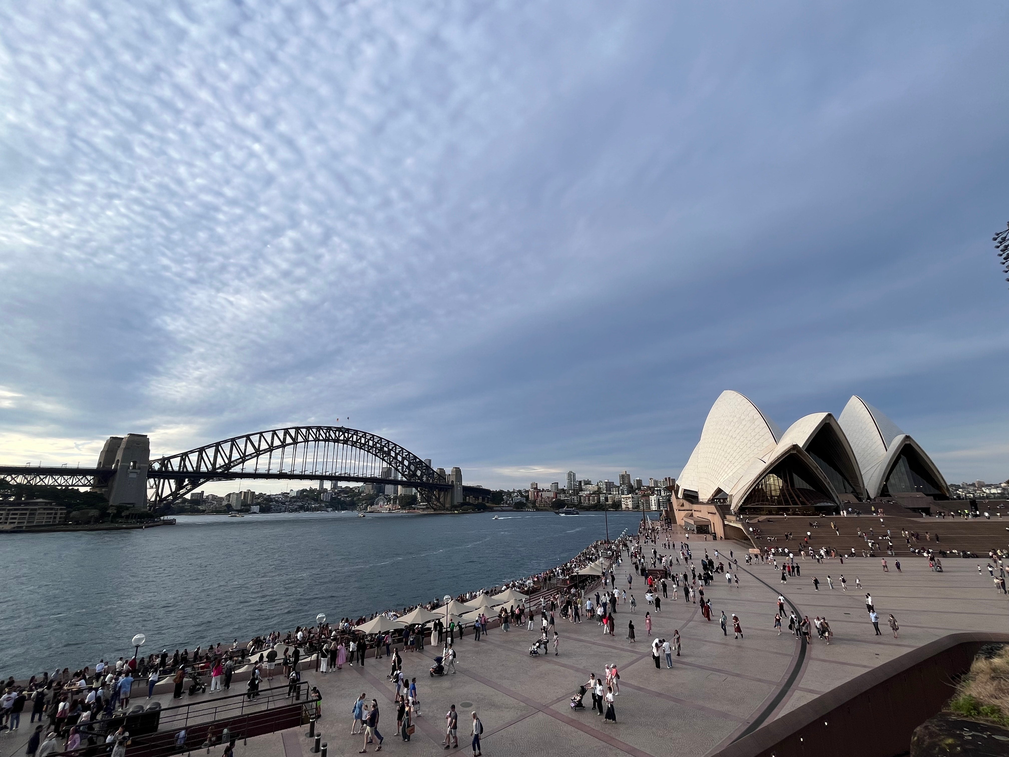 シドニー日本語日曜学校